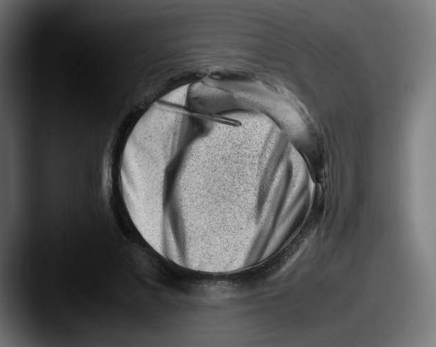 X0000087600685200705181237