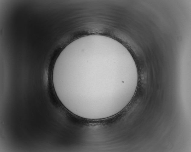 X0000087600686200705181237