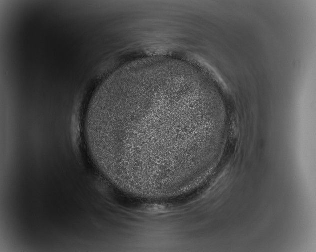 X0000087600687200705181237