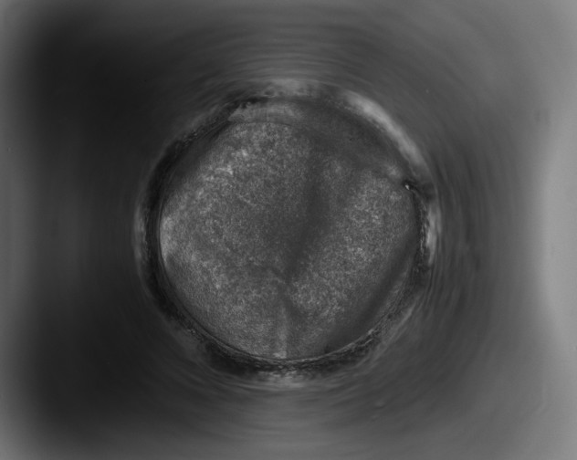 X0000087600688200705181237