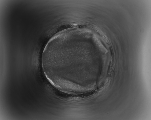 X0000087600689200705181237