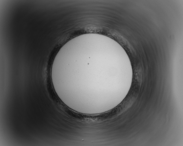 X0000087600690200705181237