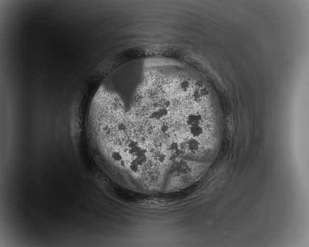 X0000087600691200705181237