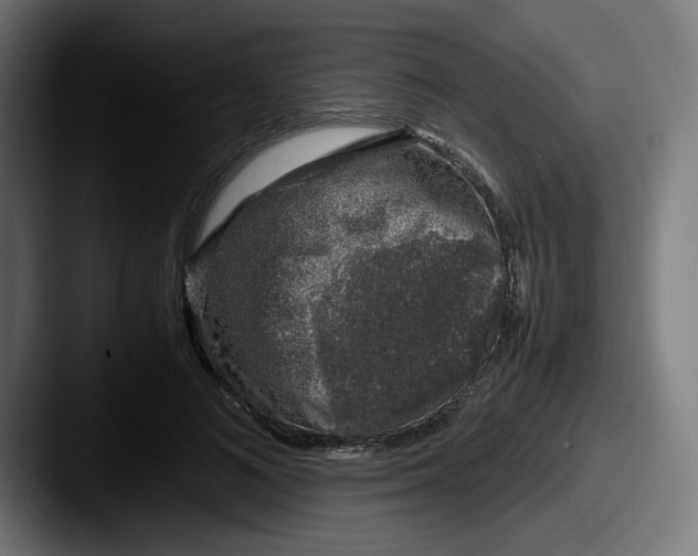 X0000087600692200705181237