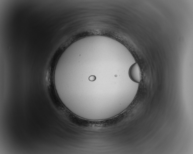 X0000087600694200705181237