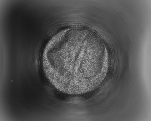 X0000087600695200705181237
