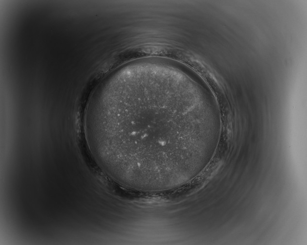 X0000087600696200705181237