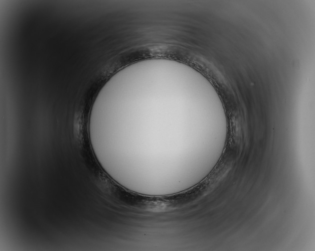 X0000087600698200705181237