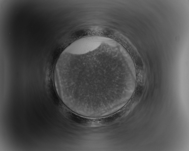 X0000087600701200705181237
