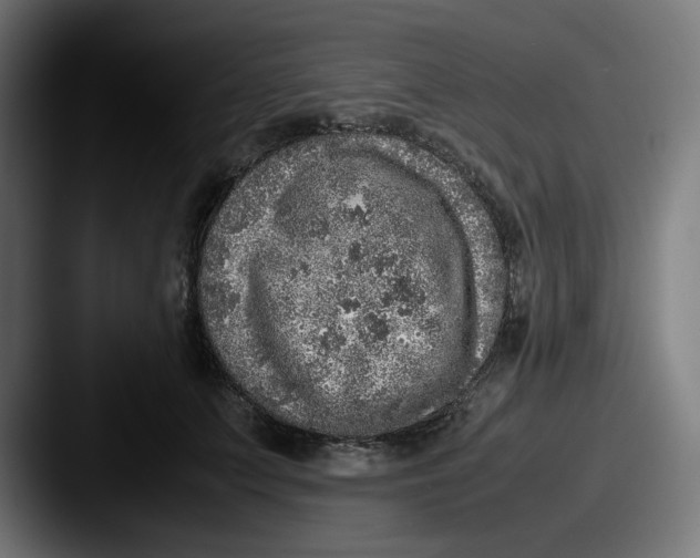 X0000087600703200705181237
