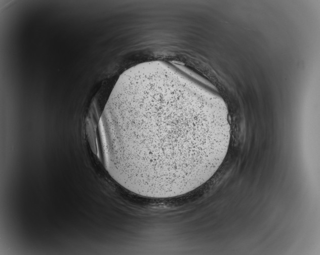 X0000087600704200705181237