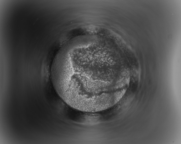 X0000087600707200705181237