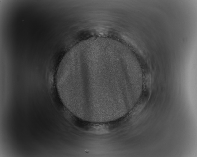 X0000087600709200705181237