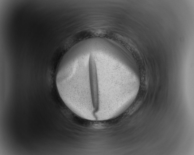 X0000087600710200705181237