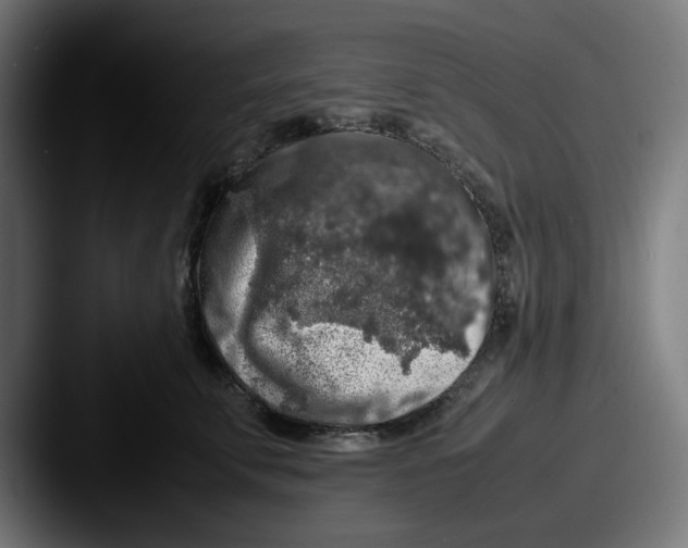 X0000087600711200705181237