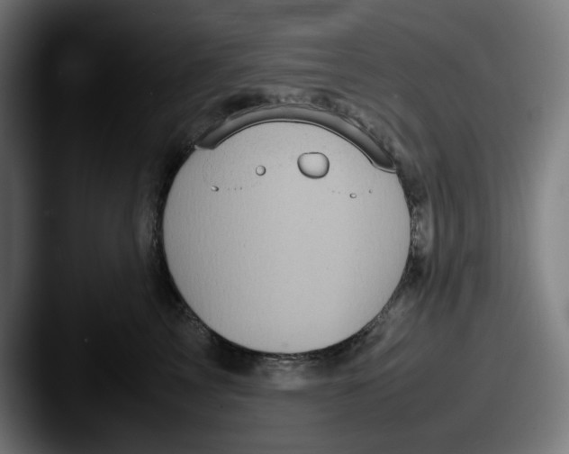 X0000087600713200705181237