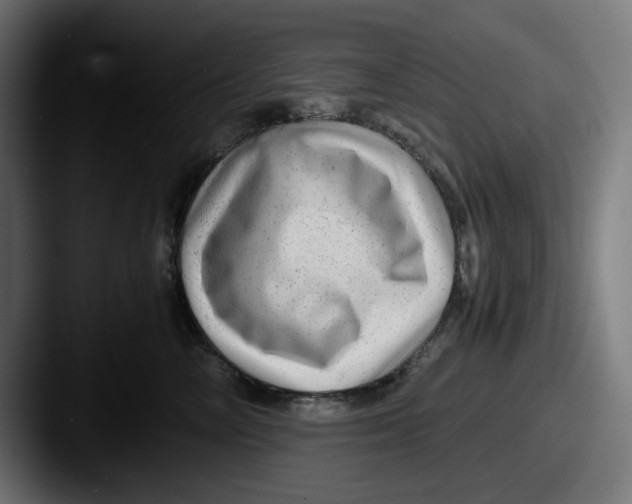 X0000087600714200705181237