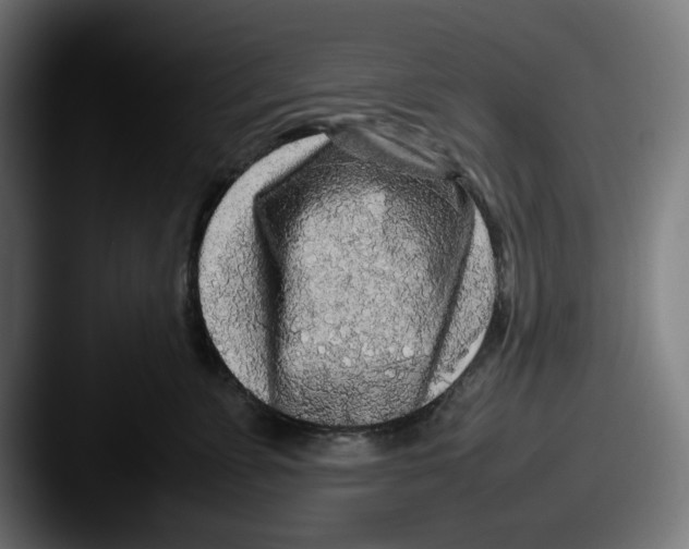 X0000087600715200705181237