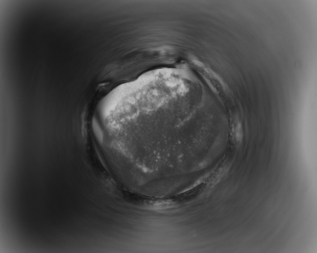 X0000087600716200705181237