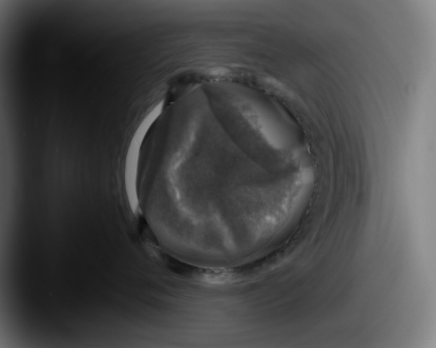 X0000087600720200705181237