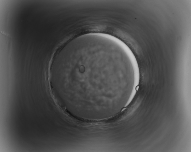 X0000087600721200705181236