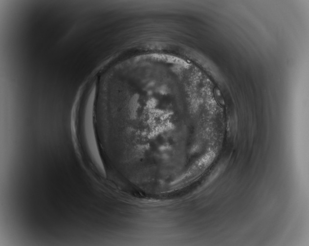 X0000087600722200705181236