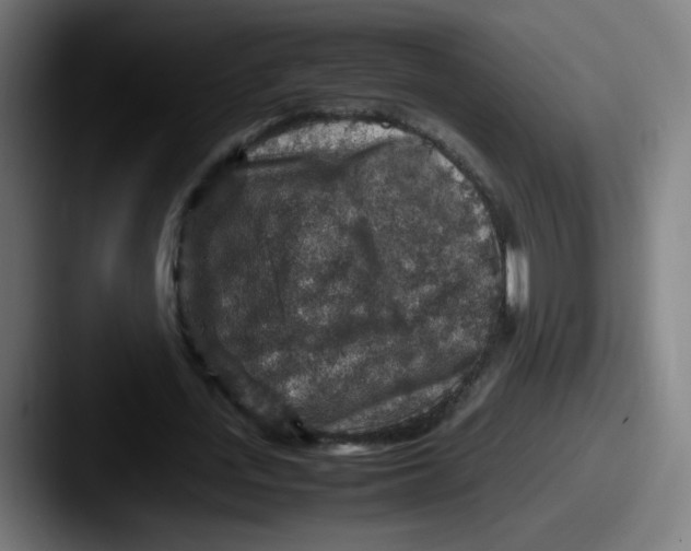 X0000087600723200705181237