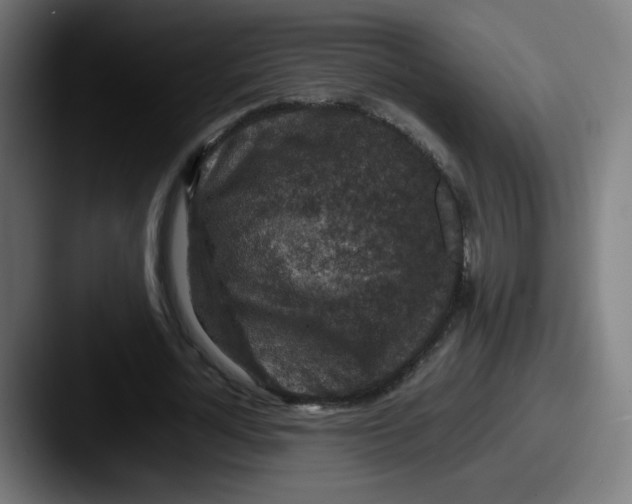 X0000087600724200705181237