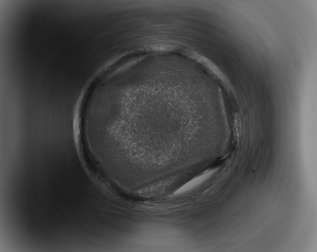 X0000087600726200705181237
