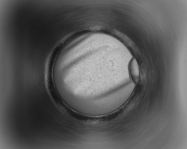 X0000087600728200705181237