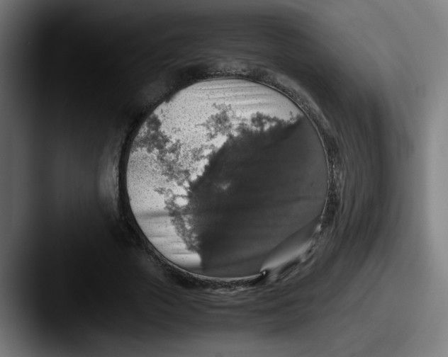 X0000087600729200705181237
