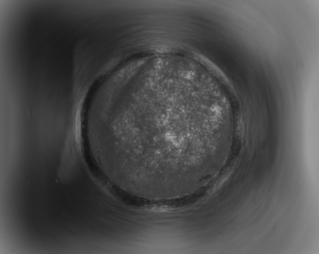 X0000087600730200705181237