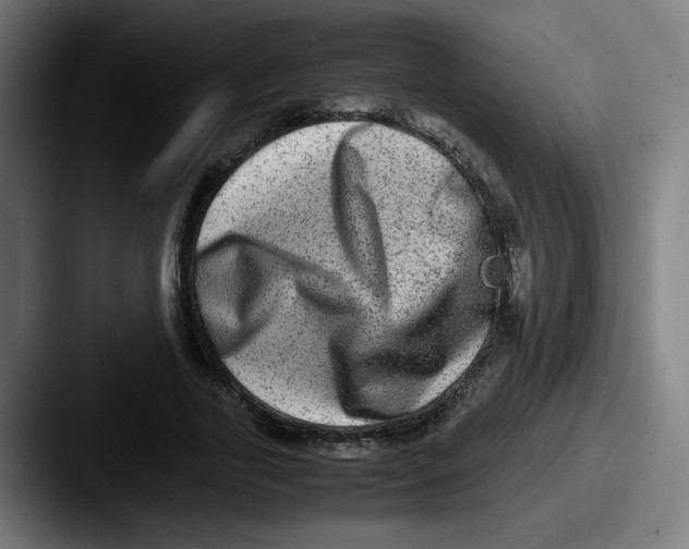 X0000087600731200705181237