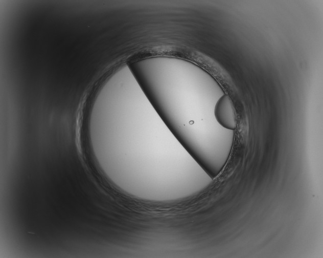 X0000087600732200705181237