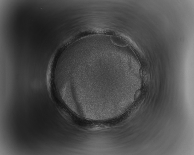 X0000087600736200705181237