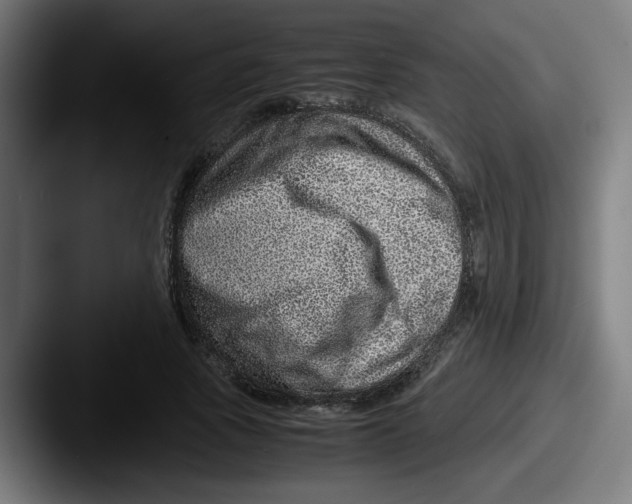 X0000087600737200705181237