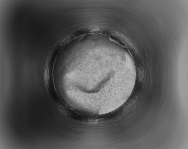 X0000087600740200705181237