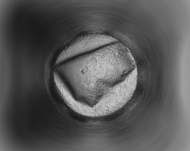 X0000087600742200705181237