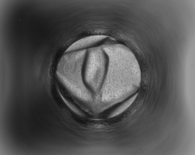 X0000087600743200705181237