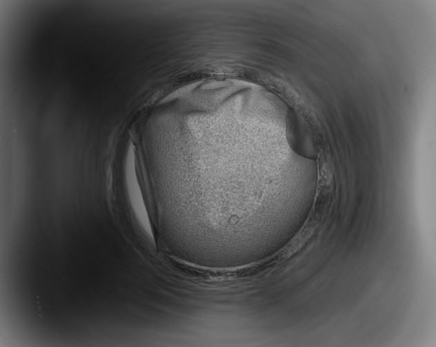 X0000087600744200705181237