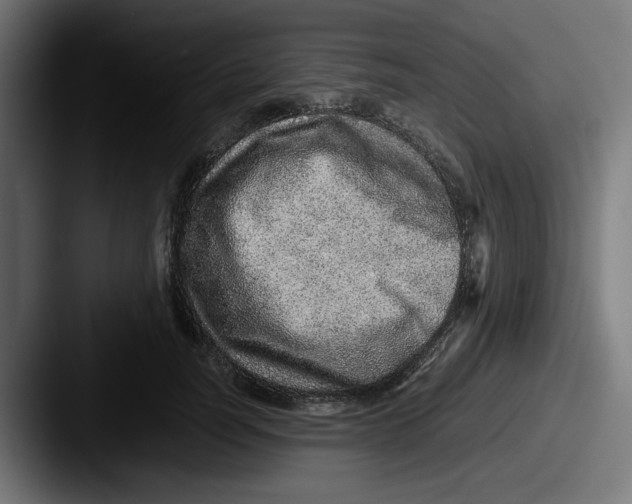 X0000087600746200705181237