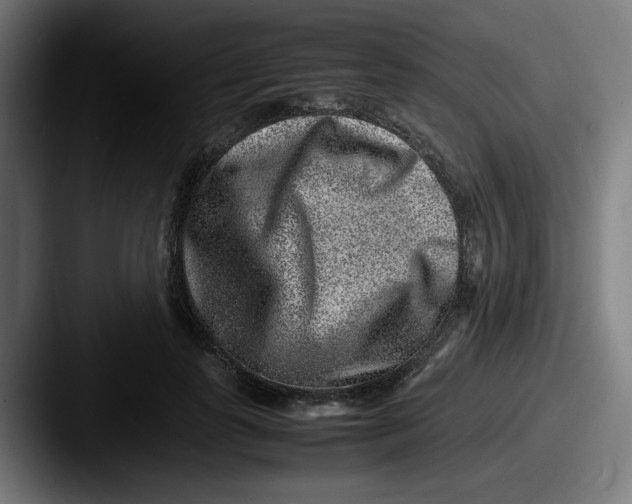 X0000087600747200705181237