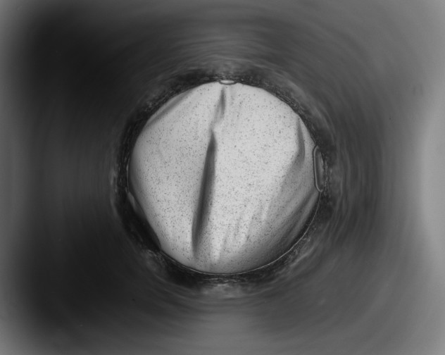 X0000087600750200705181237