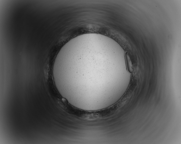 X0000087600752200705181237
