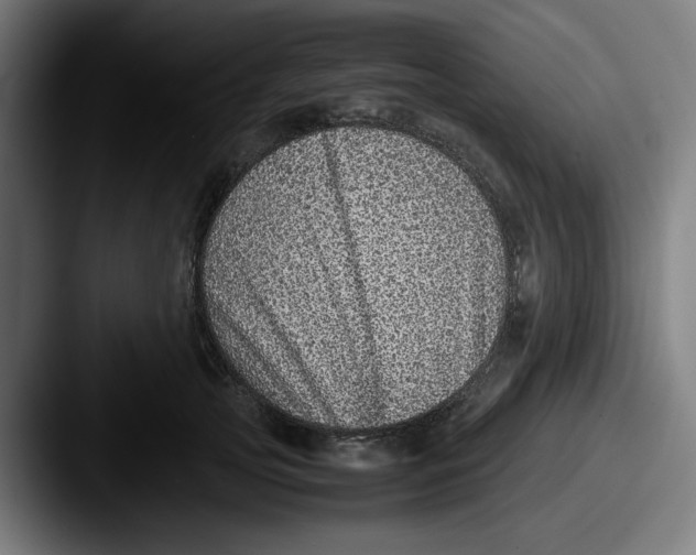 X0000087600753200705181237