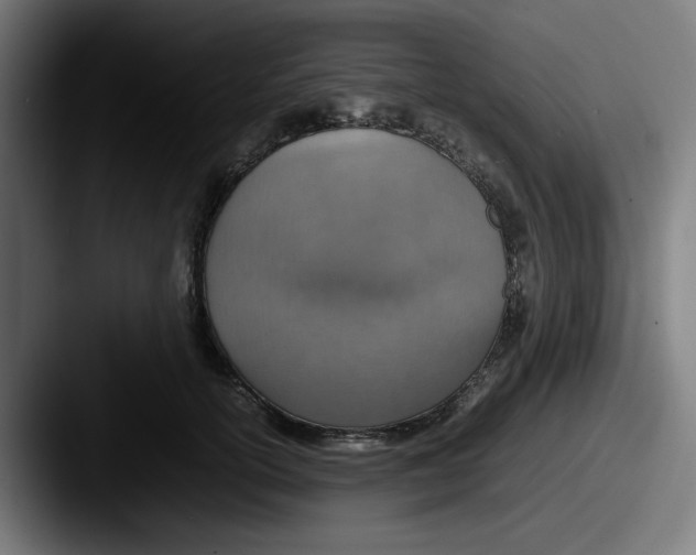 X0000087600754200705181237