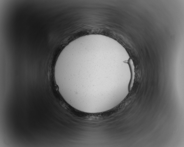 X0000087600756200705181237