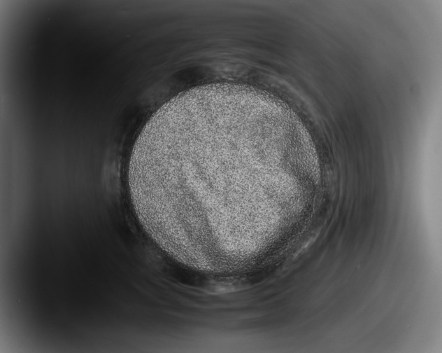 X0000087600757200705181237