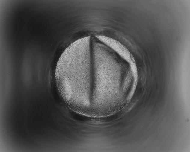 X0000087600758200705181237