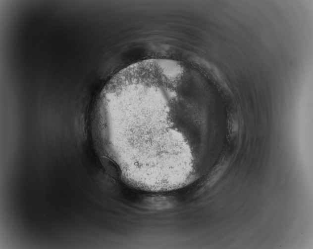 X0000087600759200705181237